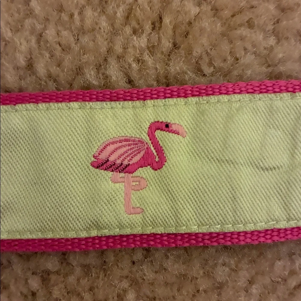 Toe Goz D Ring Pink/Green Flamingo Belt- S